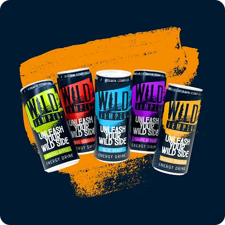 Email Marketing Services 6 wild