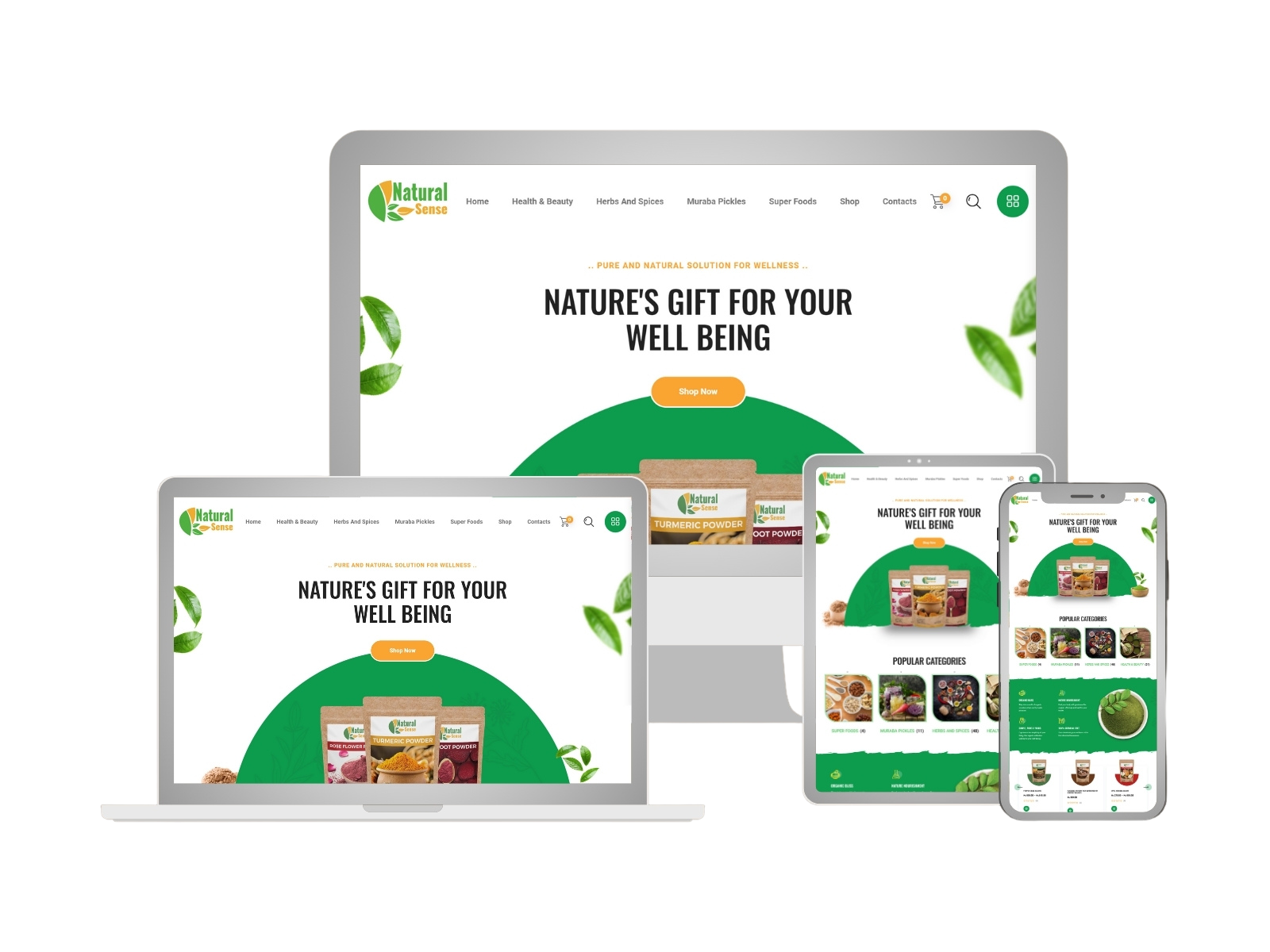 Web Development Solutions